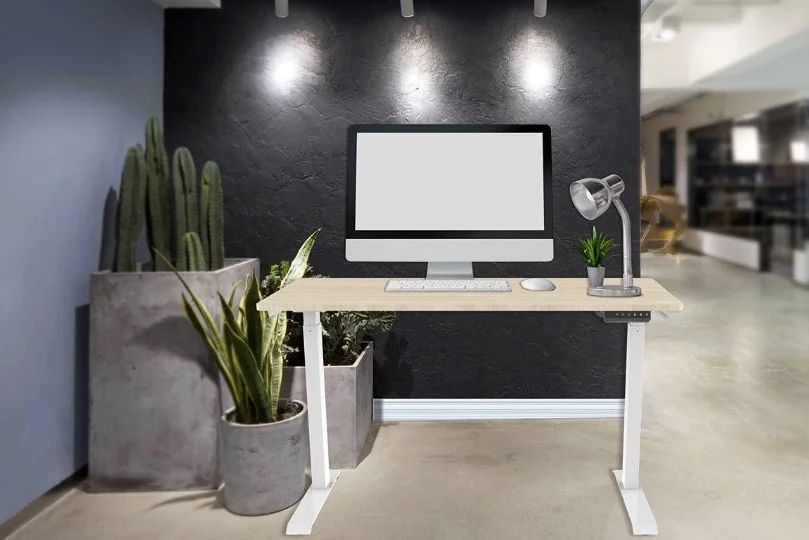 Monoprice-Home-Office-Single-Motor-Sit-Stand-Desk-Table