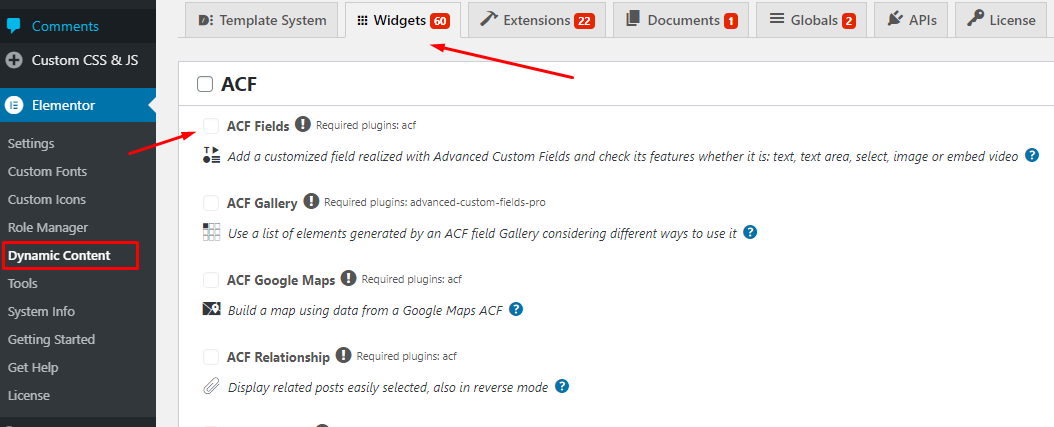 Dynamic Content Plugin WordPress Settings