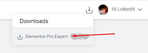 Download Elementor Pro Page Builder for WordPress