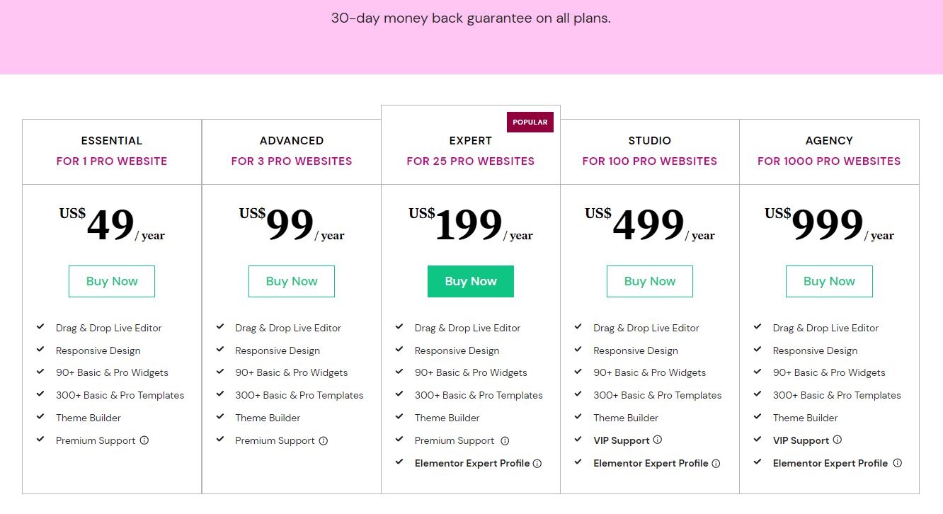 Elementor Pro Pricing Plans