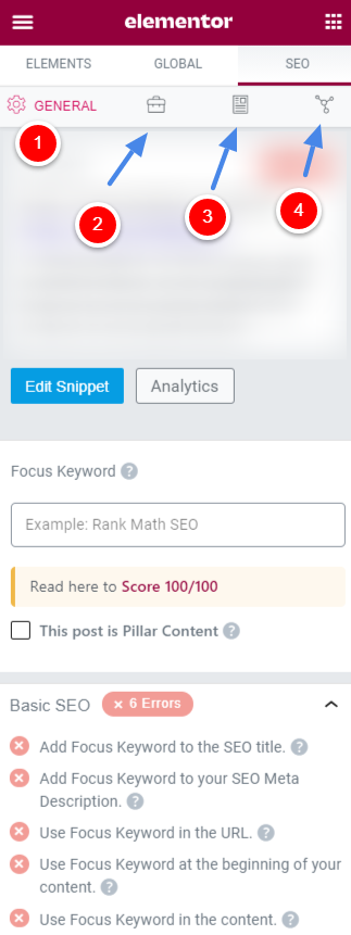 Elementor Pro with Rankmath