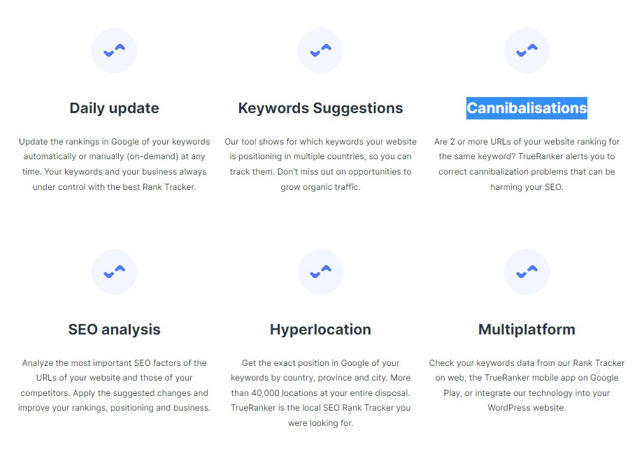 TrueRanker Features and Products