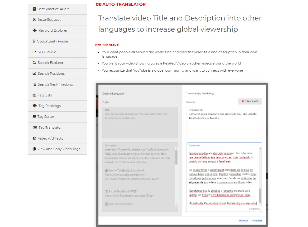 TubeBuddy Video SEO Feature