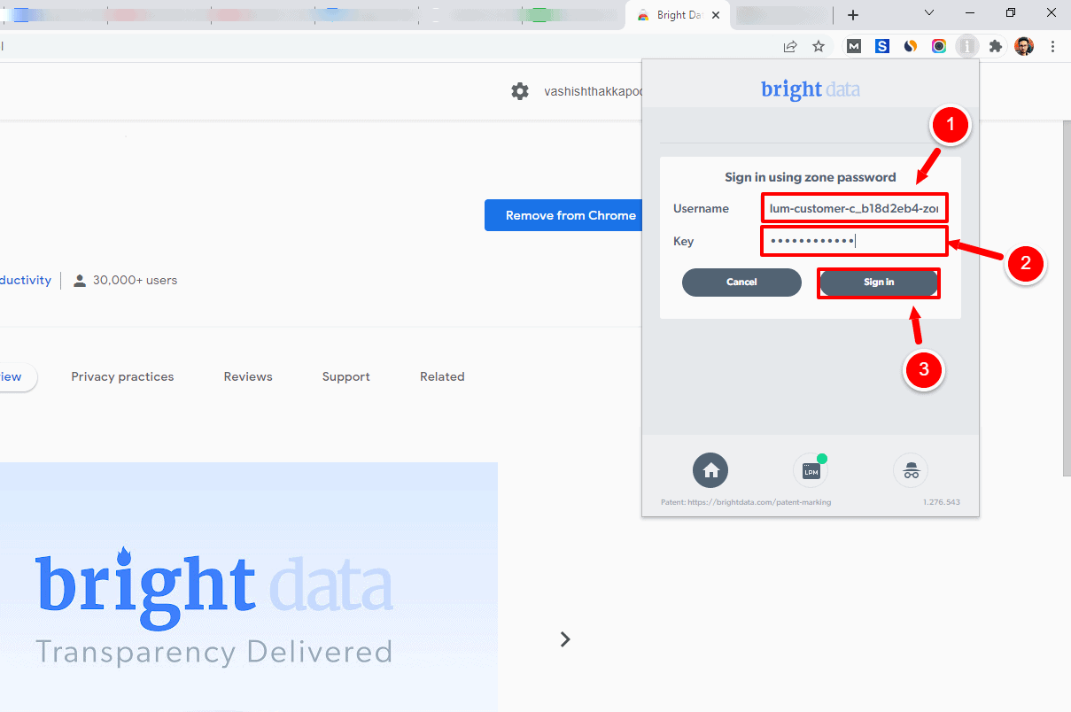 login using your zone details from bright data