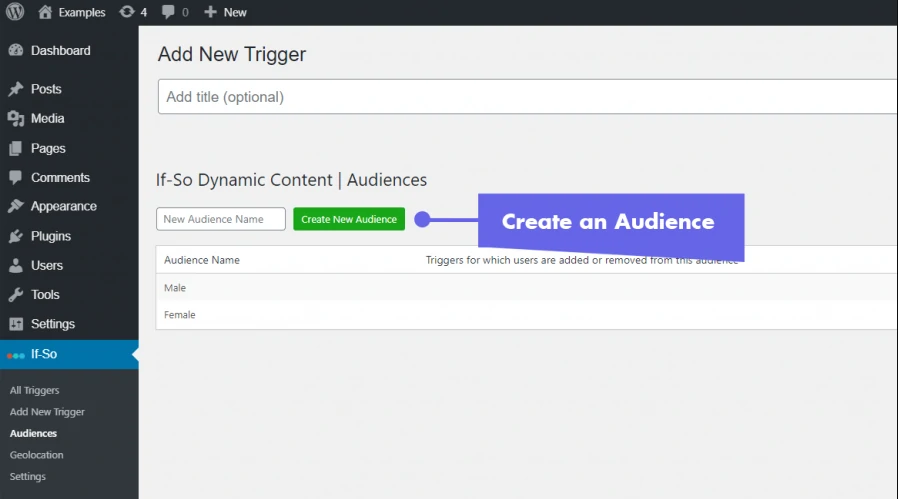 If-So Feature Audiences(Segments)