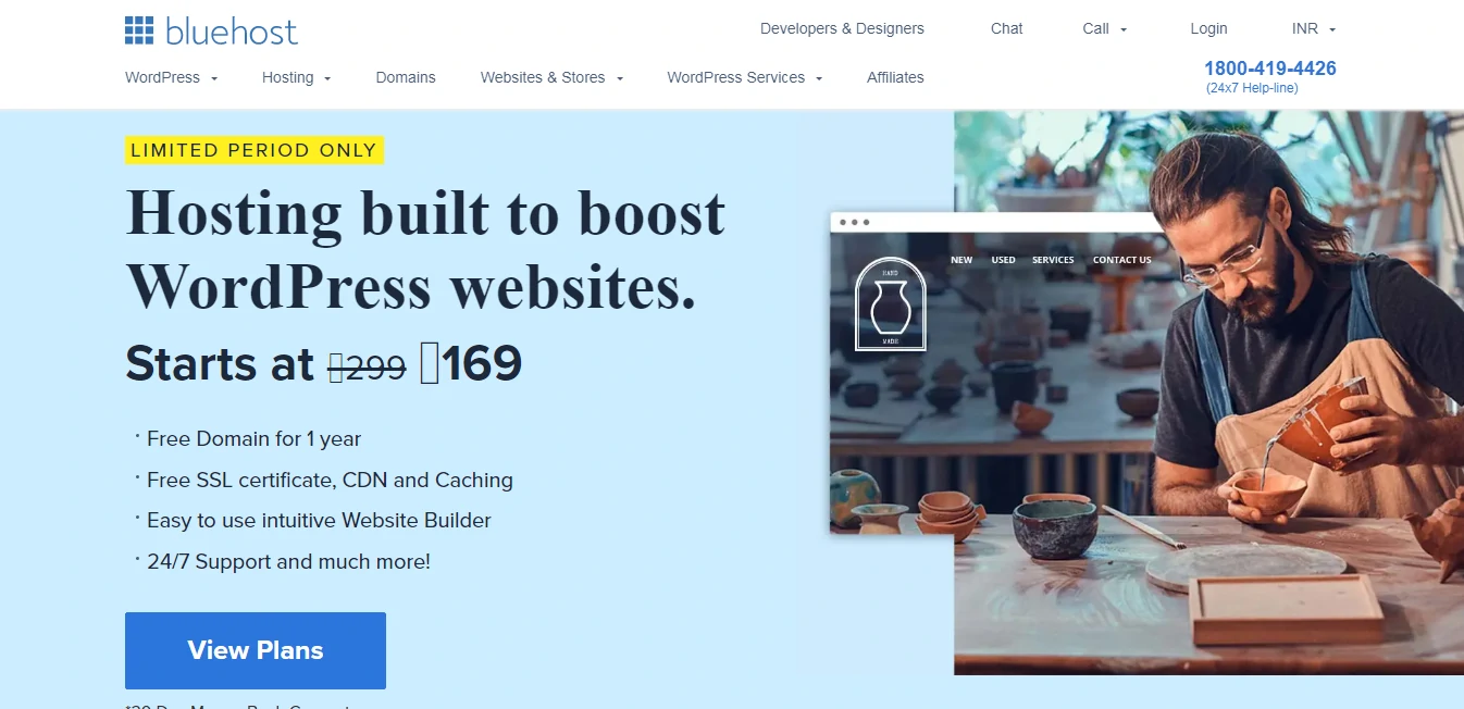 Bluehost Website