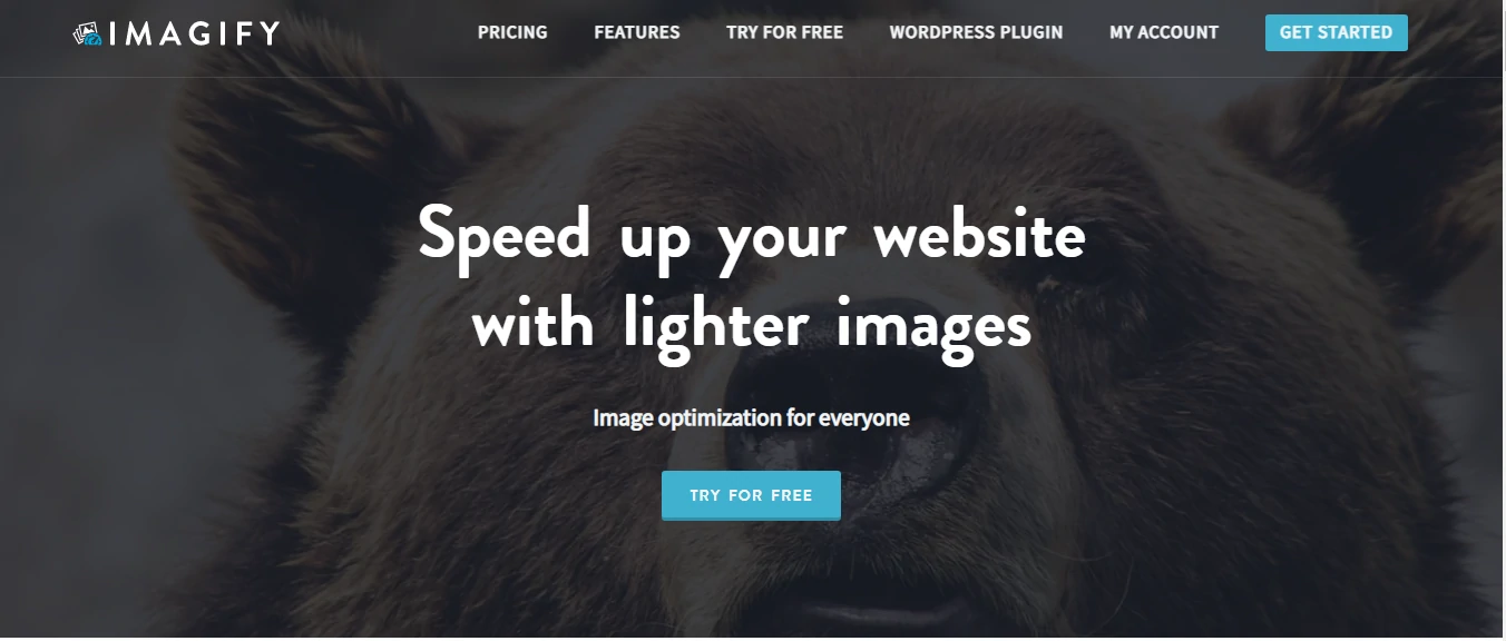 Best Image Optimization Software Imagify