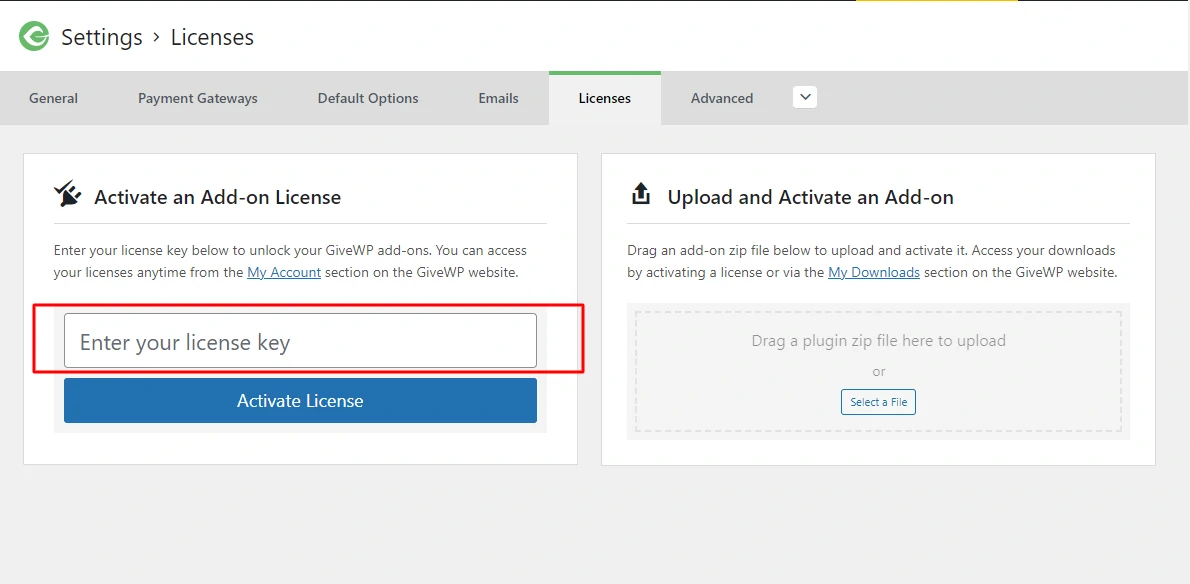 GiveWP License Key box