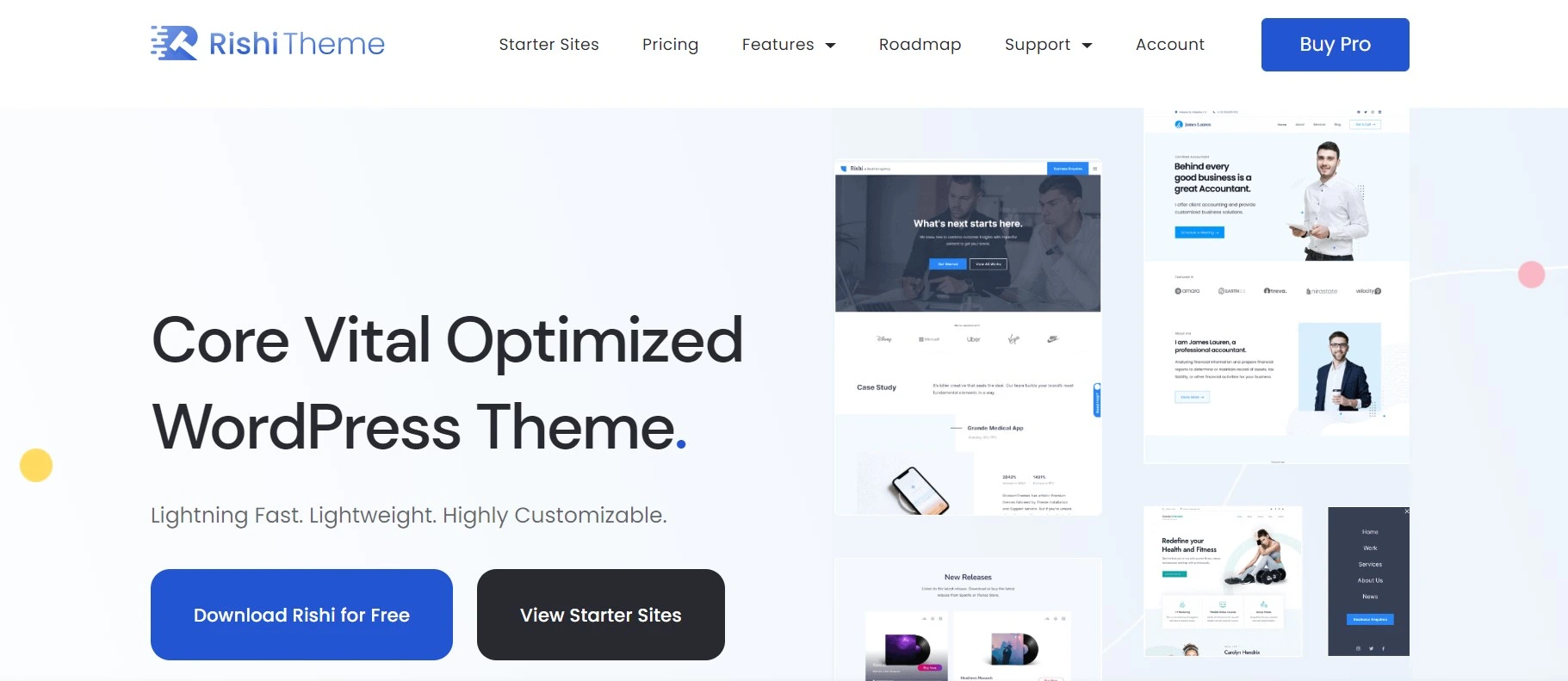 Rishi theme wordpress themes