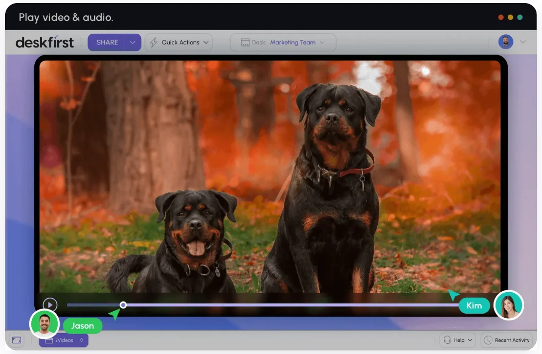 Media-player-feature-in-deskfirst